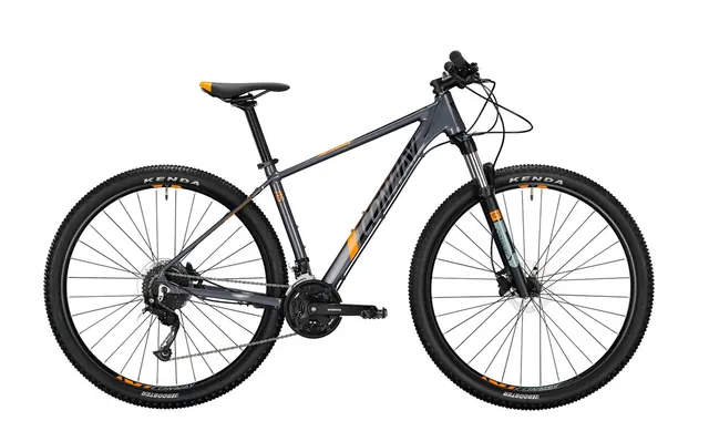 Conway MS629 - schwarz - XL